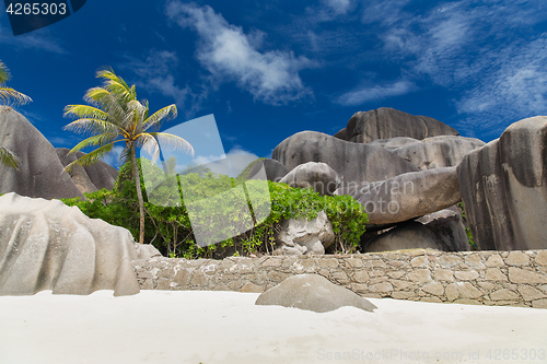 Image of island beach in indian ocean on seychelles