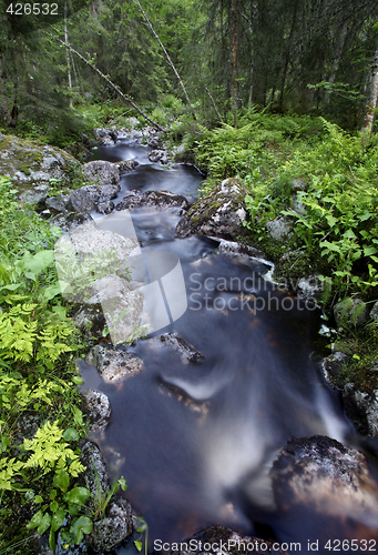 Image of  Woodland stream