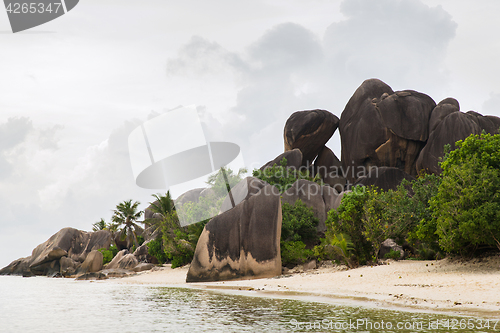 Image of island beach in indian ocean on seychelles