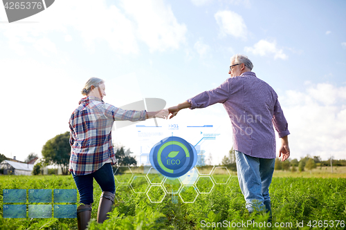 Image of happy senior couple holding hands at summer farm