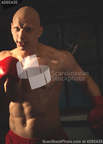Image of Aggressive boxer in training