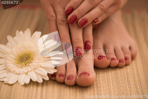 Image of female feet and hands at spa salon