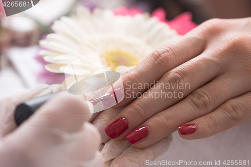 Image of Woman hands receiving a manicure