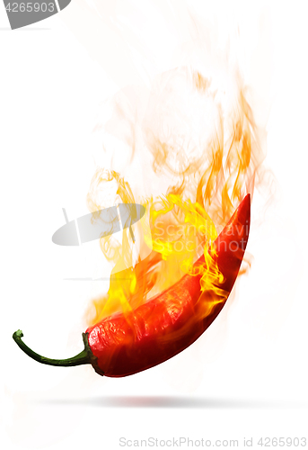 Image of Red hot pepper