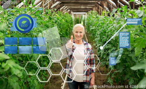 Image of happy senior woman at farm greenhouse