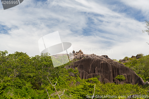 Image of stones and vegetation on seychelles island