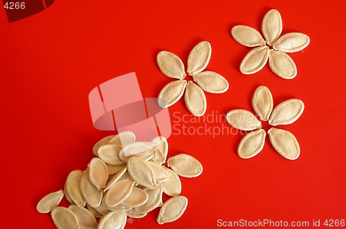 Image of Pumpkin seeds on red background