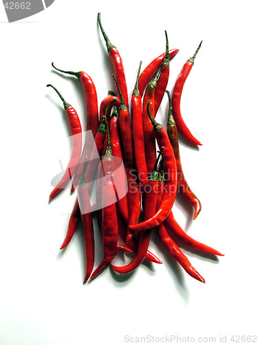 Image of Red Chilies