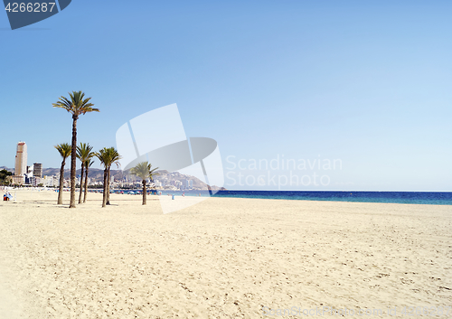 Image of Benidorm