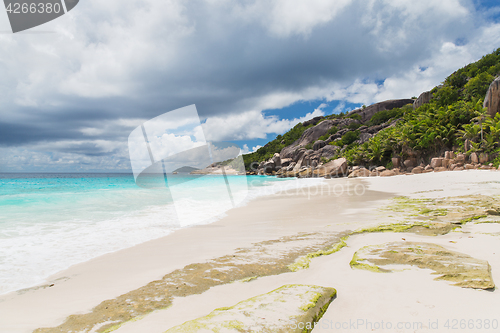 Image of island beach in indian ocean on seychelles