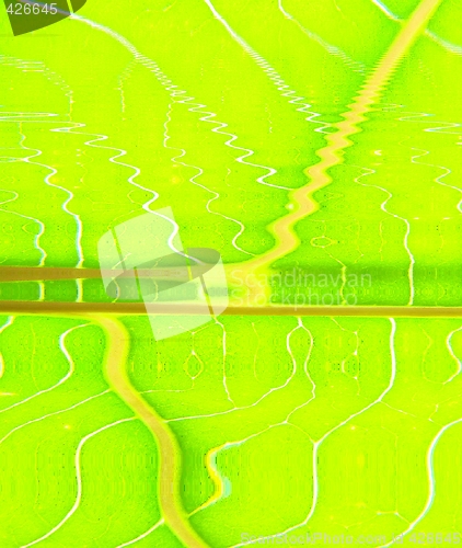 Image of green wave lines
