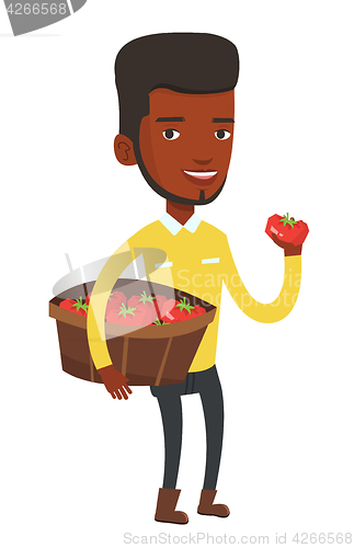 Image of Farmer collecting tomatos vector illustration.