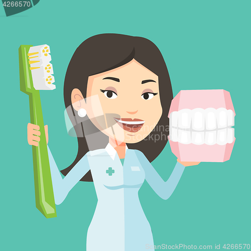 Image of Dentist with dental jaw model and toothbrush.