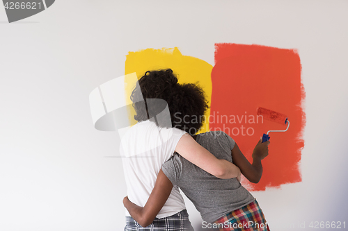 Image of multiethnic couple painting interior wall