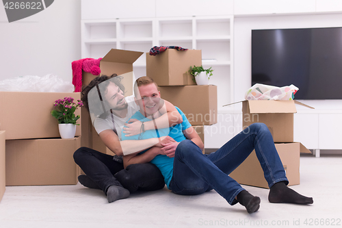 Image of young  gay couple moving  in new house