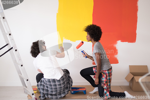 Image of multiethnic couple painting interior wall