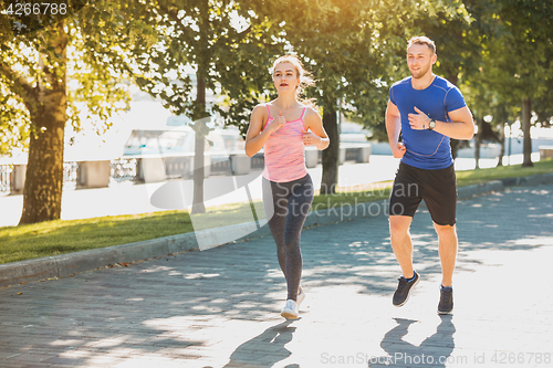 Image of The sporty woman and man jogging at park in sunrise light