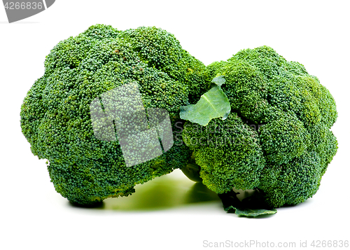 Image of Two Raw Broccoli