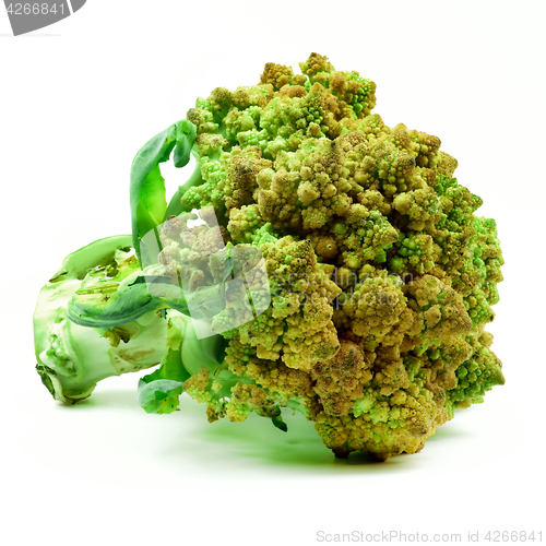 Image of Fresh Romanesco Broccoli 