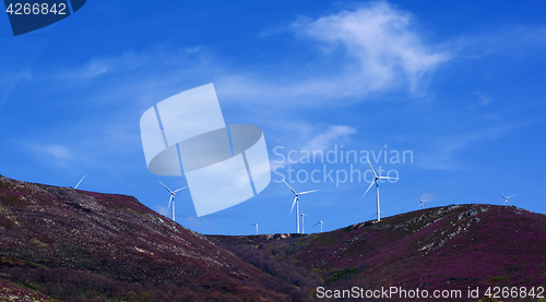 Image of Wind Turbines on Lavender Hills