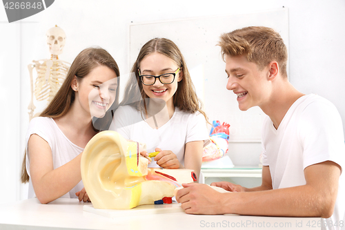 Image of Teenagers on the biology lesson.