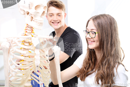 Image of Schoolgirl watching model of a human skeleton.