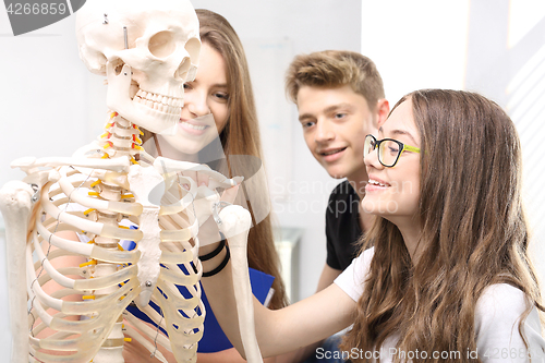 Image of Schoolgirl watching model of a human skeleton.