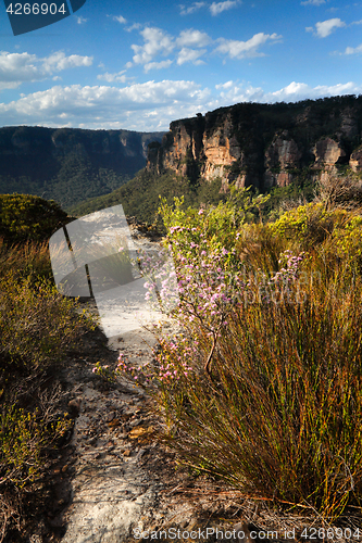 Image of Views across the clifftops Blue Mountains Australia