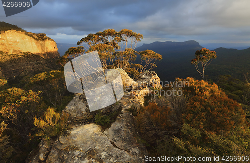 Image of Blue Mountains, Jamison Valley to Mount Solitary