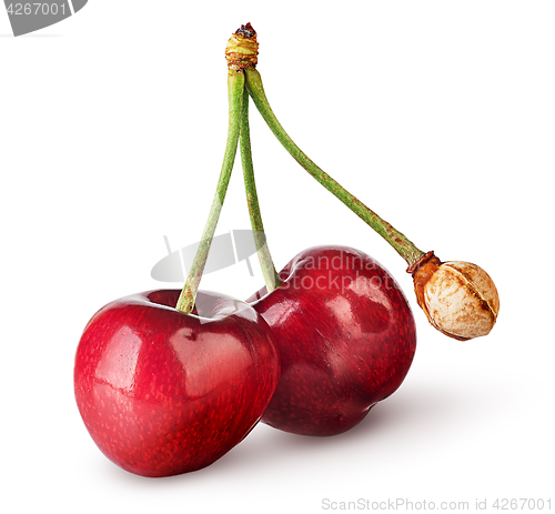 Image of Pair of sweet cherries with bone