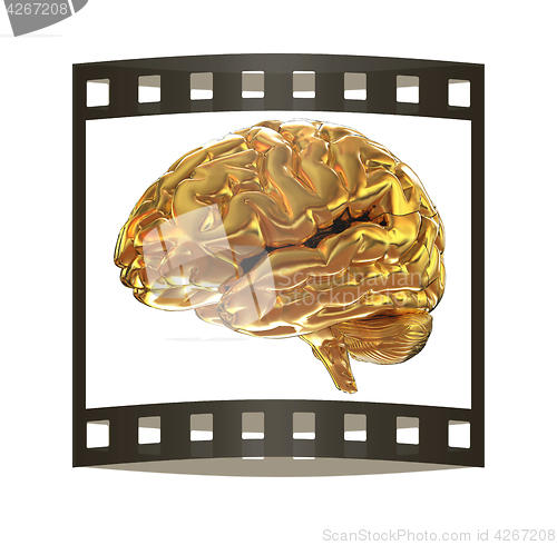 Image of Gold brain. 3d render. The film strip