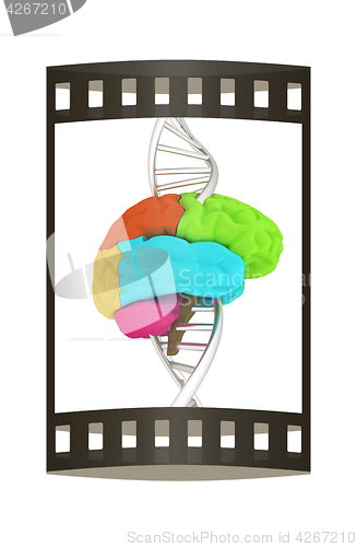 Image of Brain and dna. 3d illustration. The film strip