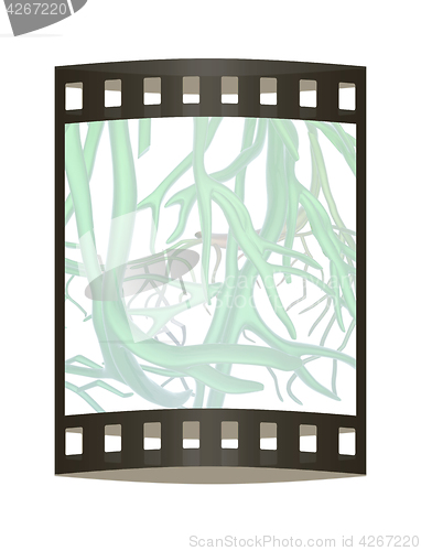 Image of veins. 3d illustration. The film strip