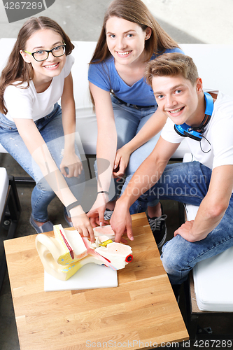 Image of Teenagers on the biology lesson.