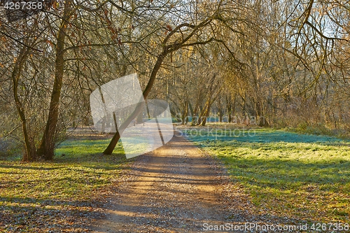 Image of Autumn morning landscape