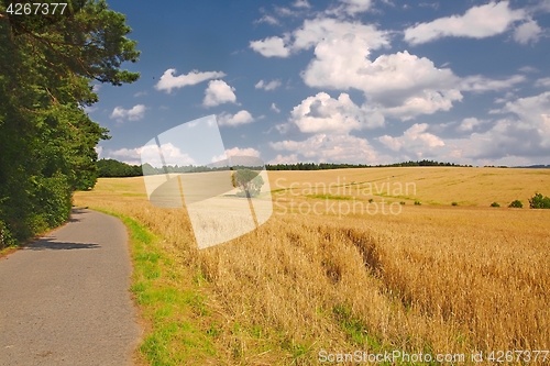 Image of Road through farmlands