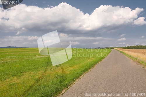 Image of Road through farmlands