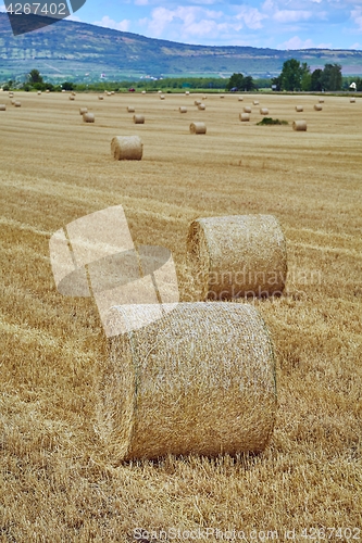 Image of Agricultural field with bales