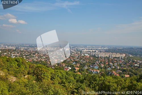 Image of Suburbs with summer green views