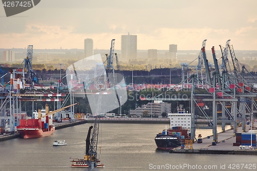 Image of Container Port in Rotterdam