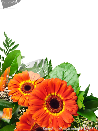 Image of gerberas