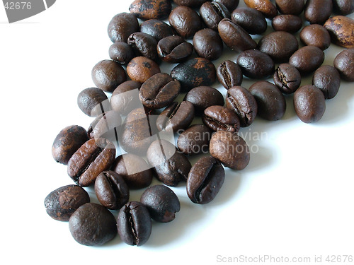 Image of Coffee Beans