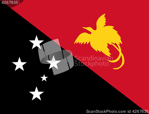 Image of Colored flag of Papua New Guinea