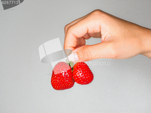 Image of Female person holding a fresh red strawberries isolated towards 