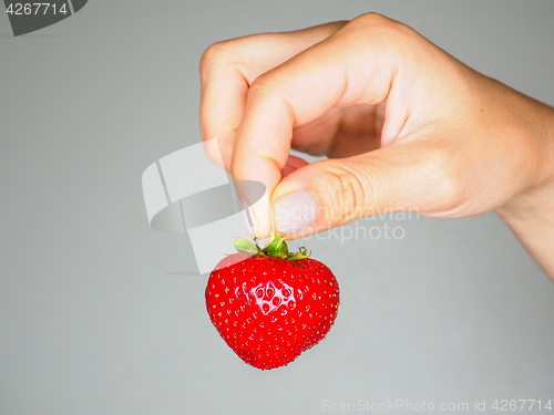 Image of Female person holding a fresh red strawberry isolated towards gr