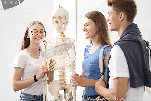 Image of Skeleton, anatomy students in class