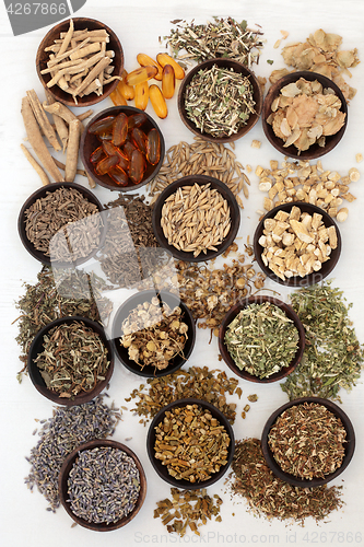 Image of Herbal Medicine for Sleeping Disorders