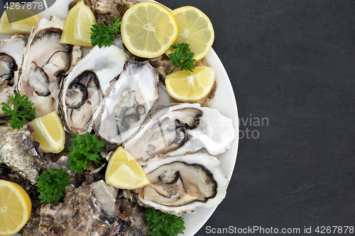 Image of Oyster Aphrodisiac Food