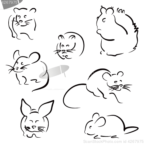 Image of Set of rodents