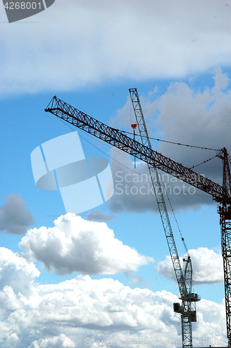 Image of Tall crane.